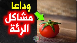 ينظف الرئتين للمدخنين موسع للقصبات فاتح للشعب الهوائية و لضيق التنفس والربو وجميع سموم الرئة