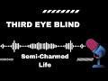 SimplySing Karaoke - Third Eye Blind: Semi Charmed Life
