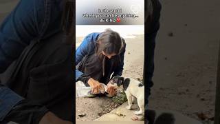 Being human isn’t hard…it’s just having a kind heart ❤️ #love #dog