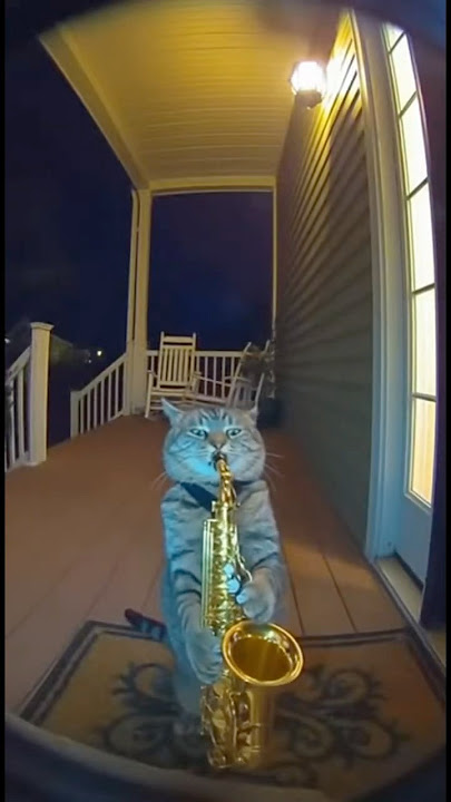 Midnight Sax Performance 🎷 #shorts