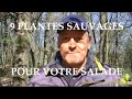 Voici 9 plantes sauvages comestibles simples et riches en minraux et vitamines pour votre salade