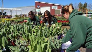 Tanger Weekends: A North Fork Spring Getaway