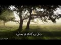 سورة النور Surah Noor الشيخ عمر الدريويز Shk Omar Al Darweez 