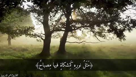 سورة النور | Surah Noor | الشيخ عمر الدريويز | Shk.  Omar Al Darweez