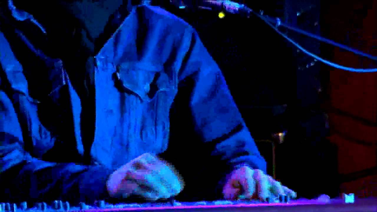 Wild Sassy Blues RRQ.mp4