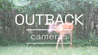 OUTBACK Cameras 2026 BUCKS
