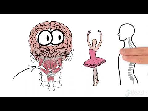 What Is Proprioception? Heidi Haavik PhD, D.C. Explains What It Is & How Subluxations Affect  Brain