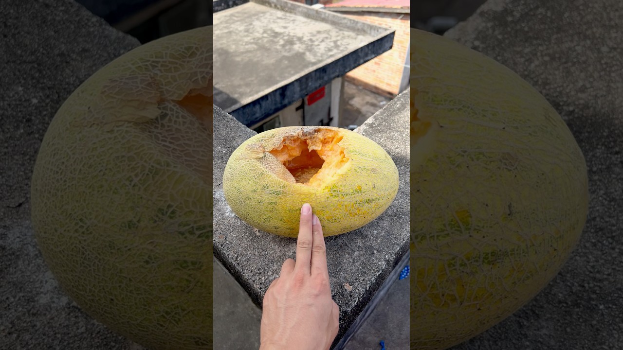 Experiment: Will cantaloupe and watermelon explode when rolled down from a tall building? 🍉🍈💥