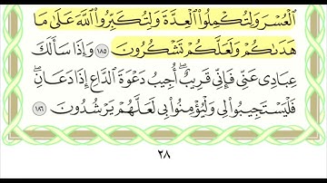 آية الصيام .. تلاوة خاشعة بصوت الشيخ د.عبدالعزيز الأحمد