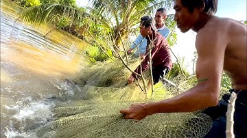 Trúng Mẻ Lưới 50kg Cá Họp Mặt Anh Em - TT2298