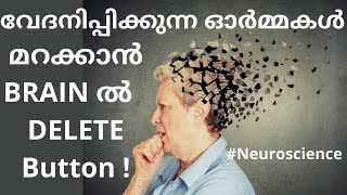 How to Forget Unwanted Memories Synaptic Pruning & Neuroplasticity | 2 Easy Ways to Erase Memories