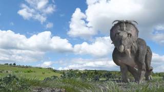 Pachyrhinosaurus Walk -Draft-