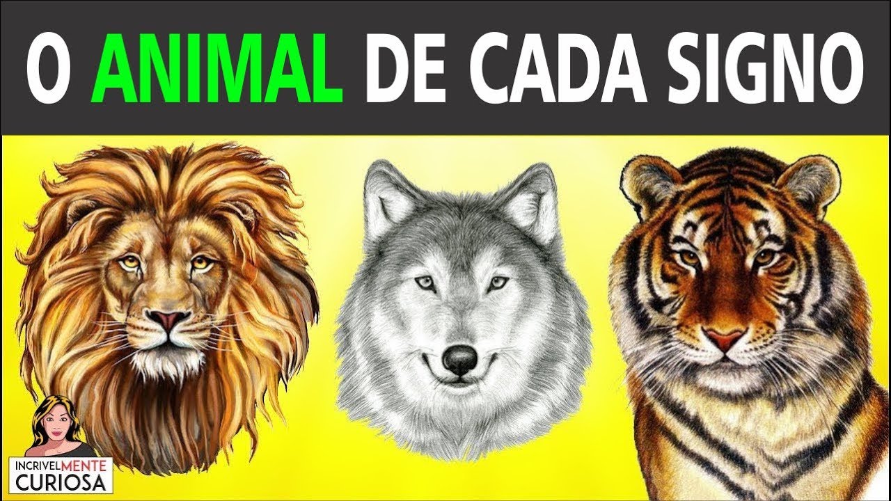 Pet de leão: o signo do seu animalzinh