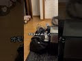 旅行の準備中にこっそりオモチャ入れてきた猫　#ねこ #cat #ねこのいる生活