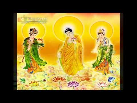 Video Những Bài Hát Về Phật Giáo Hay Nhất - youtube