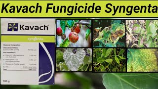 Kavach Fungicide Syngenta। Kavach Fungicide। Chlorothalonil 75% WP। Kavach Fungicide Uses in Hindi।।