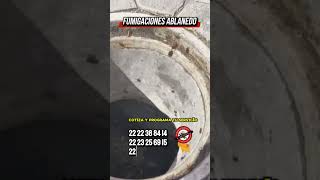 #plagas #reels #controldeplagas #fumigacion #domicilio #drenaje #cucarachas #servicios #shorts