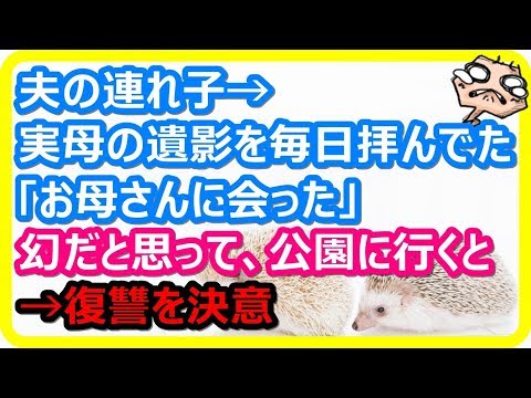 【スカッとする話 復讐】実母の遺影を毎日拝んでいた夫の連れ子4歳が「お母さんに会った」と言う。幻だと思っていたが、公園に行くと･･･ → 私は復讐を決意した。。 【スカットマン】