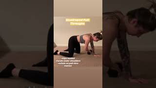 Quadruped Pull Throughs