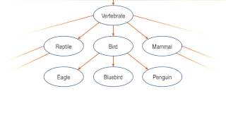 Concept Hierarchies - Georgia Tech - KBAI: Part 2 Content