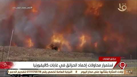 نشرة التاسعة | استمرار محاولات إخماد الحرائق في غابات كاليفورنيا
