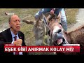 Yaşar Okuyan Eşek Gibi Anıracak Mı?