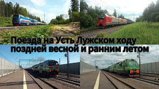 Разнообразие поездов на Усть Лужской ветке за конец мая и начало июня 2024 г. Мегамикс 26 в 1