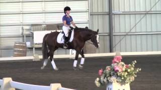 USPC B Rating Dressage Test