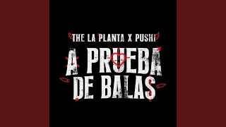 Miniatura de vídeo de "The La Planta - A PRUEBA DE BALAS"