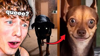 SI TE RÍES PIERDES😂🤣🚨 [999,99% IMPOSIBLE]🥶