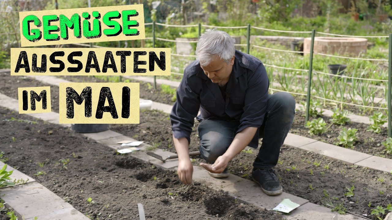 Was kann man im Mai im Gemüsegarten aussäen? Aussaattipps für Bohnen