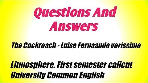 Questions And Answers of 