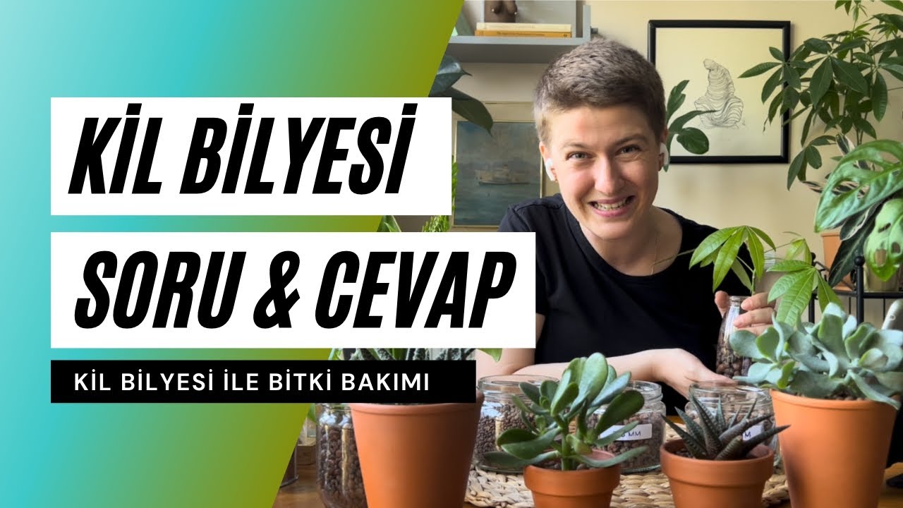 Kil bilyesi ile ilgili 10 soru 10 cevap | Kil bilyesi ile Bitki Bakımı