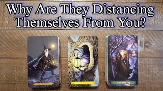  Why Are They Distancing Themselves From You? What Are Their Concerns?  Pick A Card Love Reading