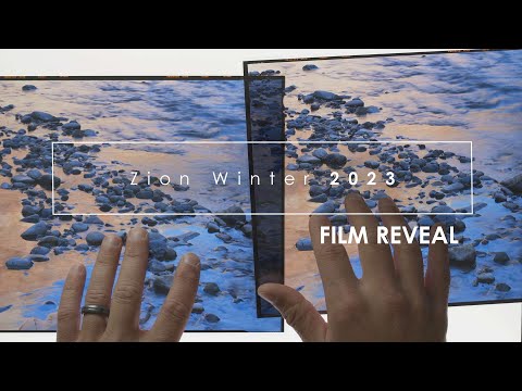 Zion Winter 2023: Large Format Film Reveal