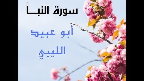صوت ندي خاشع، سورة النبأ، أبو عبيد الليبي.
