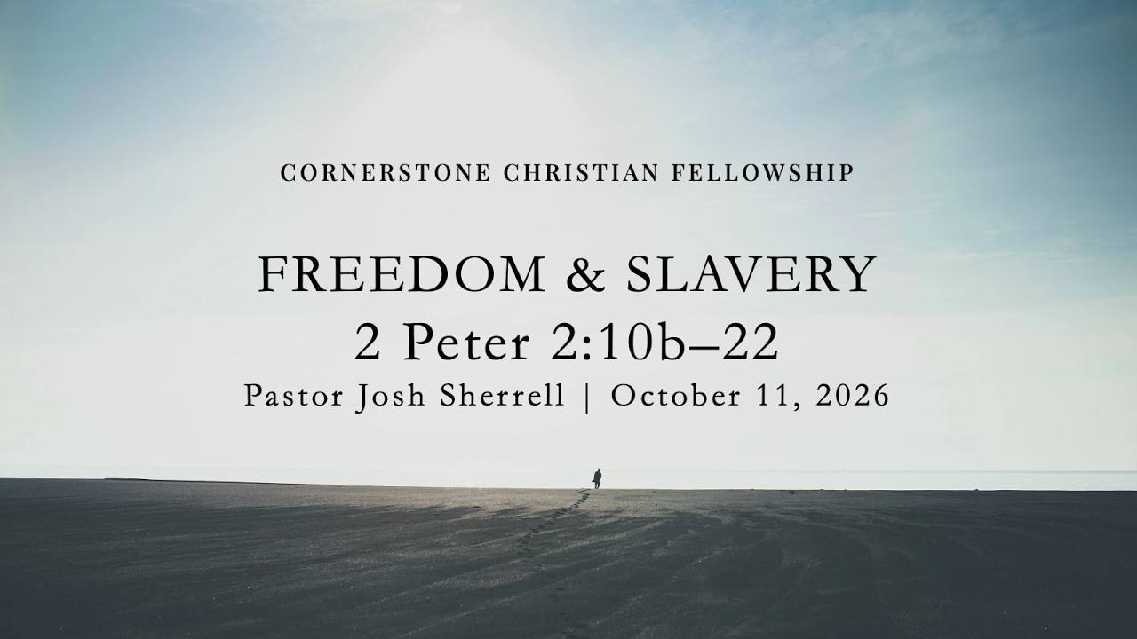Freedom & Slavery