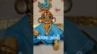 બોલો કૃષ્ણ કન્હૈયા લાલ કી જય🙏🏼🧿#shrikrishna #shri #yamunaji #morningroutine #ytshorts #radheshyam