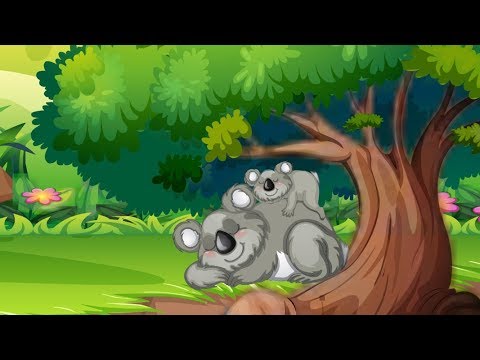 AUSTRALIAN ANIMALS -