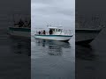Farallon 2600 Walkaround