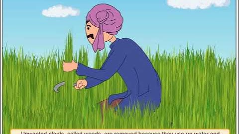 Journey of Food | Environmental Studies Class 4