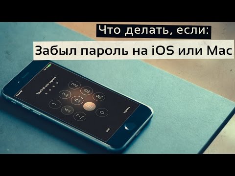 Забыл пароль на iOS или Mac - что делать? Как быстро сбросить пароль блокировки без компьютера?