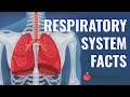 Respiratory System Quiz