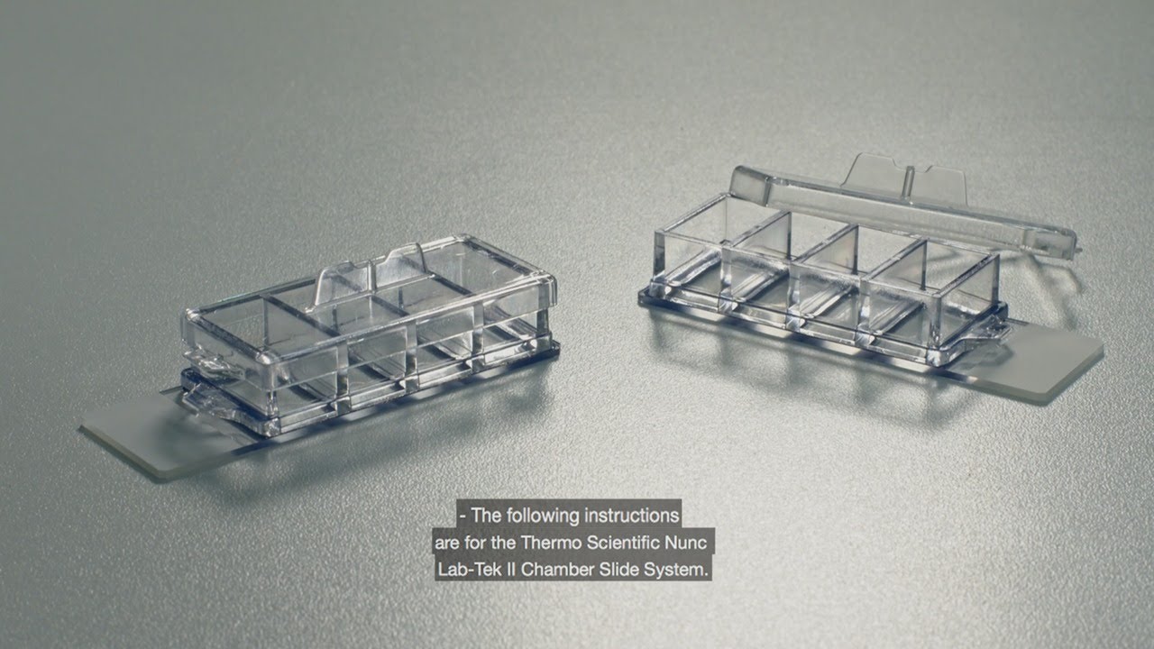 Guide to Using Nunc Lab-Tek II Chamber Slide System - YouTube