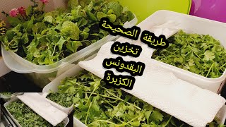 طريقة الصحيحة تخزين البقدونس والكزبرة ️