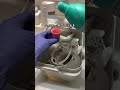 ホコリ放置は危険！洗濯機の排水フィルター掃除でトラブル防止✨
