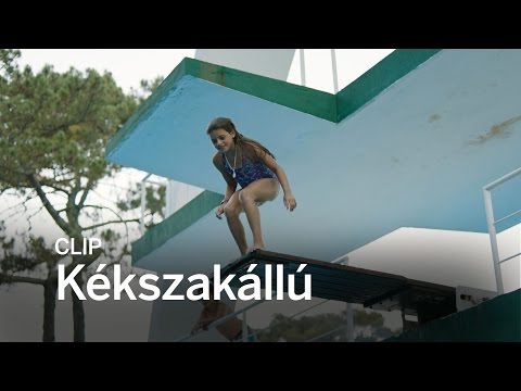 KÉKSZAKÁLLÚ Clip | Festival 2016