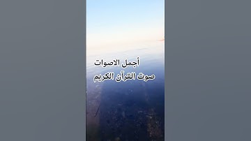 القارئ🌺♥️ الشيخ عبد الرحمن مسعد #المصحف#راحة_نفسية#المصحف #الرحمن #الصلاه #تصويري ♥️🌺