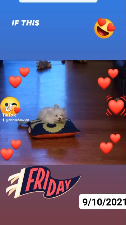 Casper Video . . TIK TOK Video of Cute Baby.