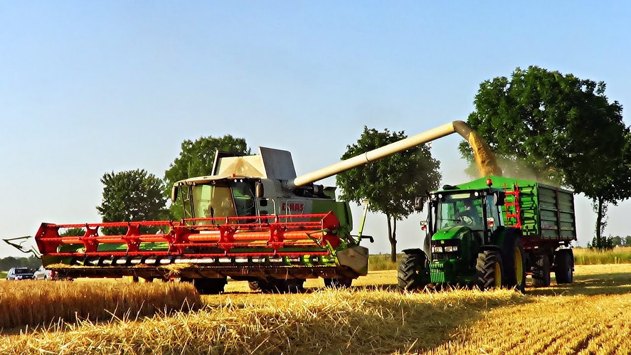 Żniwa 2015 Na Większą Skalę! 2x Claas Lexion, 3x John Deere! ( Dolny Śląsk )